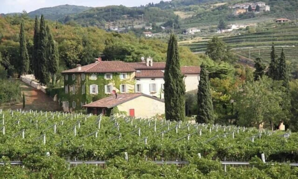 Negrar House | 1400s manor house amongst Valpolicella vineyards