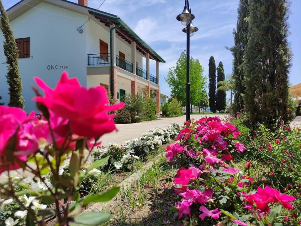 Sabaudia House | Agriturismo Ariston ONC 1484