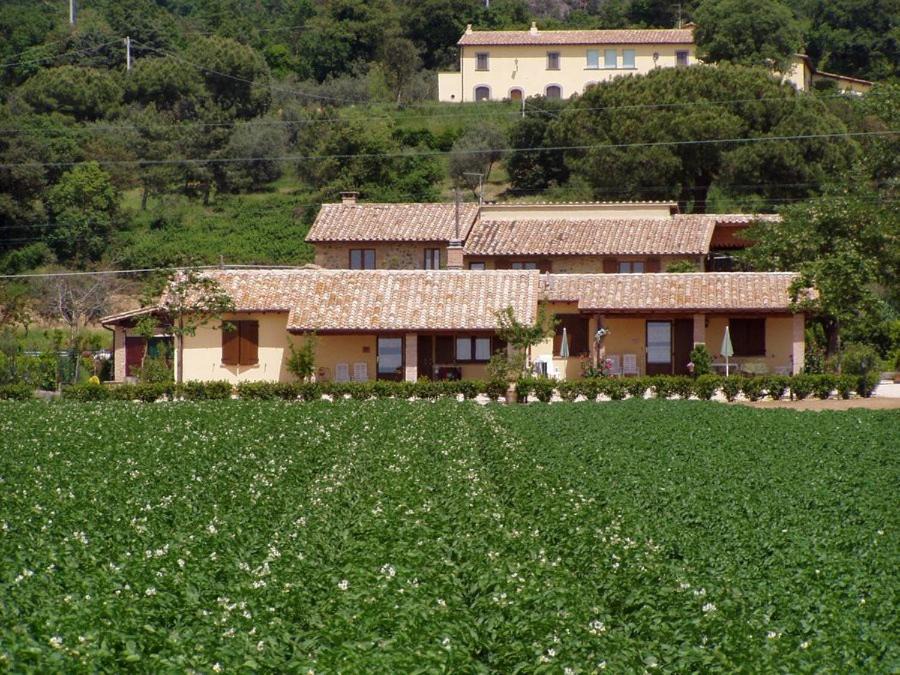 Bolsena House | Agriturismo Casale del Contadino