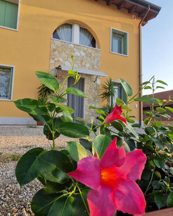 Sommacampagna Bed & Breakfast | Agriturismo Fiore