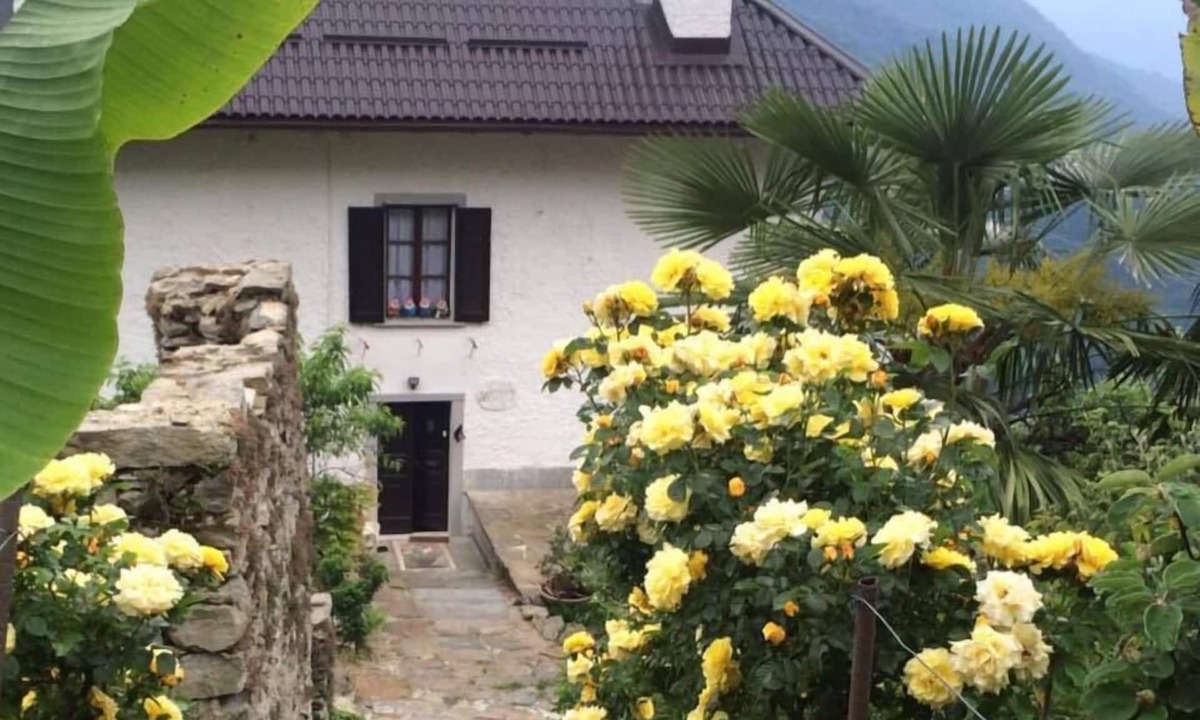 Aurano Bed & Breakfast | B&B La Locanda del Cinghiale