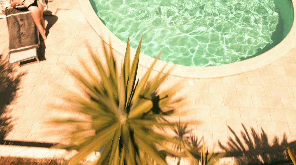Sonnino Bed & Breakfast | B&B SEBA e PAOLA