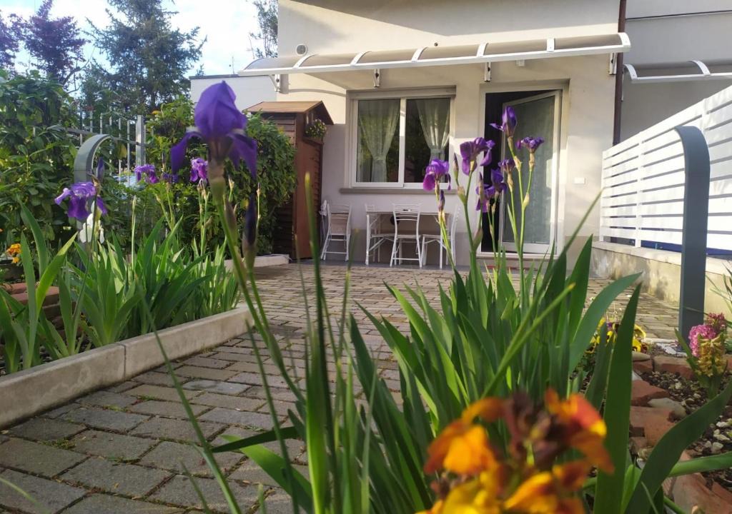 Province of Bologna Apartment | BHH BOLOGNA HOLIDAY HOME private Garden Reserved Parking -wwwbolognaholidayhomecom- house garden parking