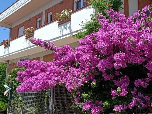 Sabaudia Apartment | Big Sabaudia