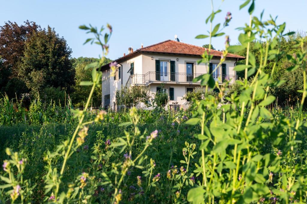 Gavi Bed & Breakfast | Carlo Alberto B&B