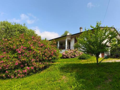 Montegrotto Terme House | Cilla Country House