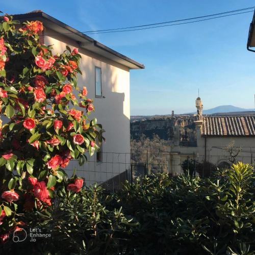 Lubriano House | Civita's