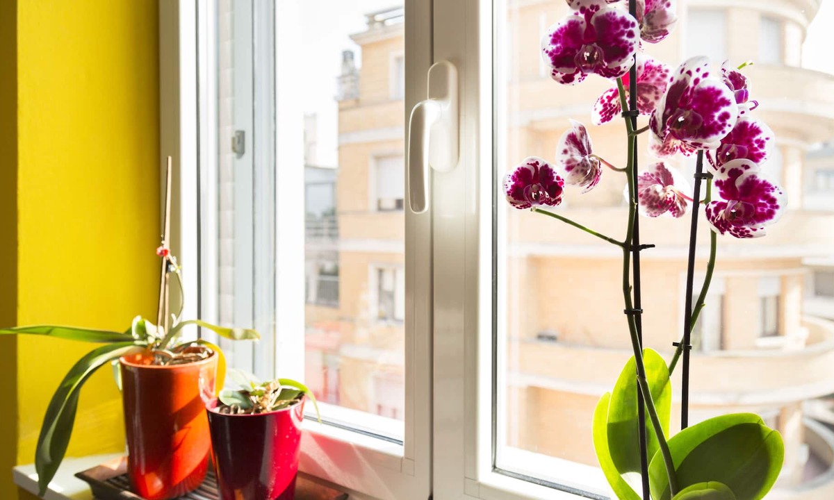 Milan Apartment | Milano City - Studio / Studio - Fiera area