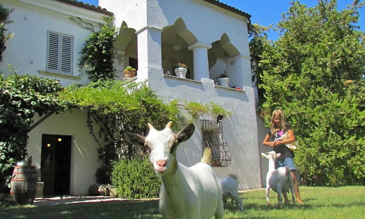 Tocco da Casauria House | PANORAMIC SUITE in the GARDENS: small cottages (x 2-4 p) between mounts & beach
