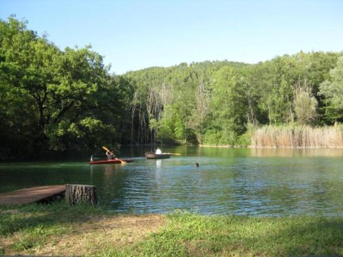 Citta di Castello House | Pet-Friendly Farmhouse