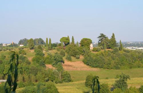 Molvena House | Agriturismo La Torre