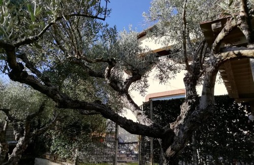 Fonte Nuova House | Alloggio per uso turistico Colomba Patrizia - Villa Concipat Rooms