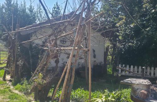Norma House | Ancient Norba's House - Casa dell' Antica Norba
