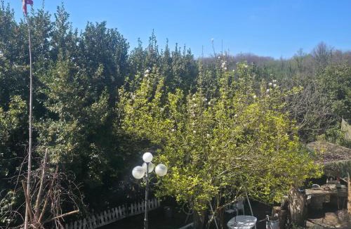 Norma House | Ancient Norba's House - Casa dell' Antica Norba