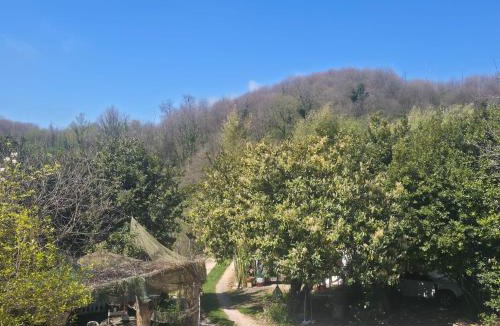 Norma House | Ancient Norba's House - Casa dell' Antica Norba