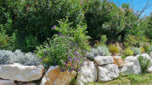 Campagnola Bed & Breakfast | Antica Dimora dei Gelsi