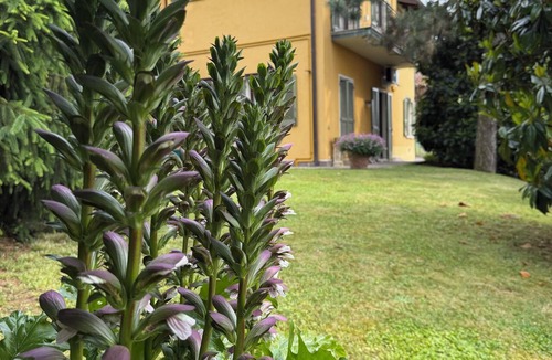 Ome Apartment | Apartment nestled in the Franciacorta hills, very close to Lake Iseo