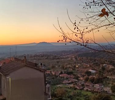 Nerola House | Ape Regina