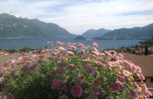 Menaggio Bed & Breakfast | B&B By Lussy - Camera Verde