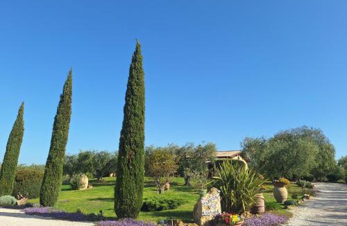 Cerveteri Bed & Breakfast | Casa degli Ulivi