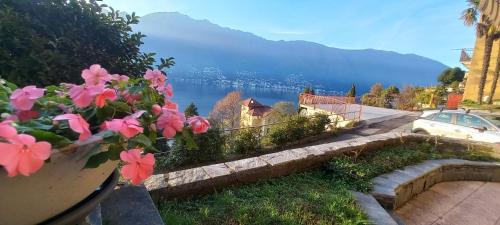 Pino Lago Maggiore House | Casa le Palme