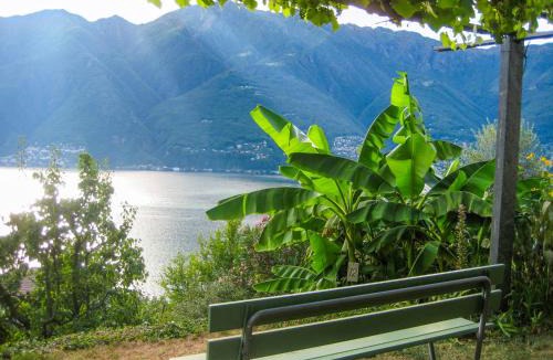 Tronzano Lago Maggiore Apartment | Casa Lucertola