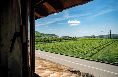 Montecchia di Crosara Apartment | Casa Oliver: Apartment with a view of the valley near Verona and Vicenza