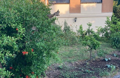 Albano Laziale Villa | Charming villa near Rome