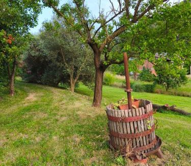 Montegrotto Terme House | Cilla Country House