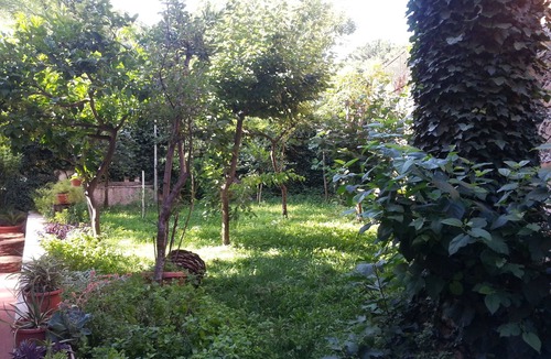 Prenestino-Centocelle Apartment | GARDEN STUDIO near metro C-Mirti