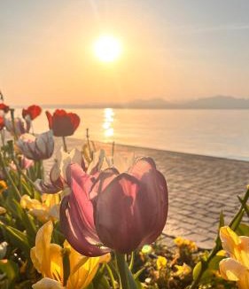 Caprino Veronese Apartment | Il Girasole