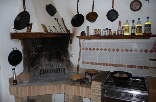 Civitella Paganico House | July/Aug still available! Secluded location! Olives, open fireplace! Pets allowed!
