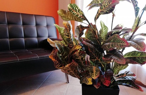 Fratta Polesine Bed & Breakfast | Karingo House