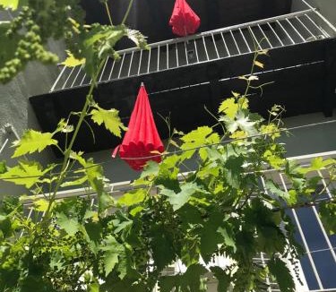 Govone House | La Vite è Bella
