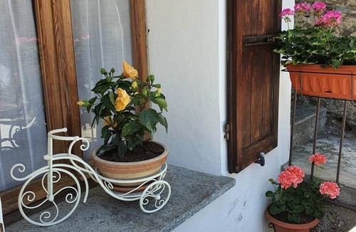 Calasca-Castiglione House | LADYBUG HOUSE SEMI DETACHED HOUSE