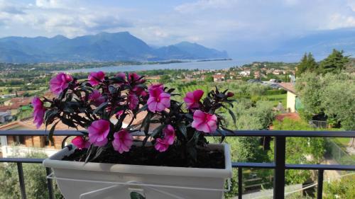 Solarolo Apartment | Loft con terrazza vista golfo e colline