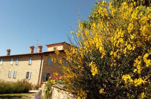 Paullo House | Madonna della Corte