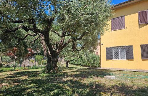 Monterosi Bed & Breakfast | mariposa