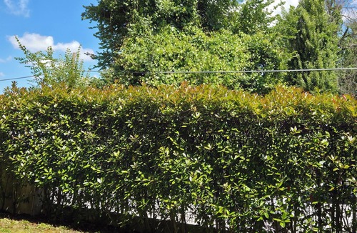 Galzignano Terme Apartment | Modern apartment with garden, surrounded by greenery and tranquility