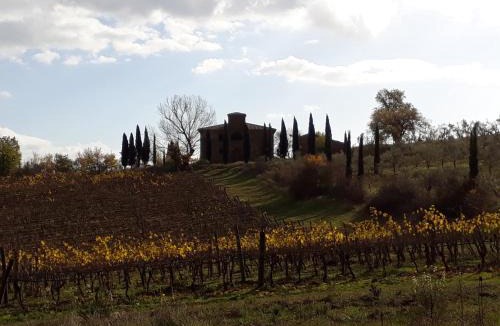 Sinalunga House | Podere Pievina Delle Corti - Dimora di Campagna
