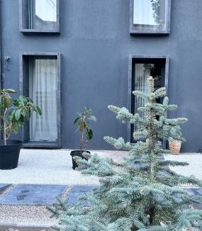 Nogare Apartment | Relax in Padua, Near the Arena and the Canottieri Club
