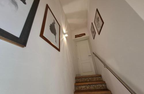 Sona House | Sidus Rooms