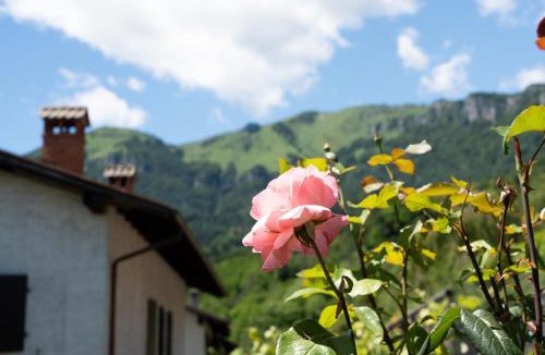 Brentonico Apartment | Slow Time Garden Monte Baldo - Digital Detox Retreat