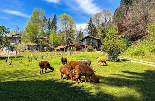 Montegrino Valtravaglia Apartment | Sorti Alpaca by Lago Reisen