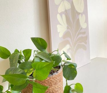 Cascina dei Pomi Apartment | Spacious & Smart Position