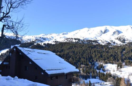 Meribel Apartment | Studio confortable pour 4 pers, balcon sud, proche pistes et commerces - Méribel - FR-1-180-26