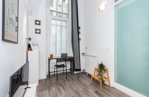Vanchiglia Apartment | That's a Mole