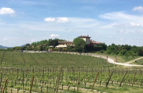 Colombaro Apartment | The Look Franciacorta