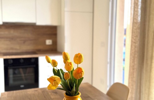 Porto Viro Apartment | Velù Apartment