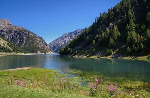 San Rocco Apartment | Venere, Livigno, Italy